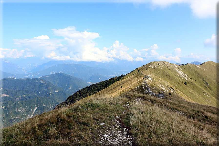 foto Col dell'Orso